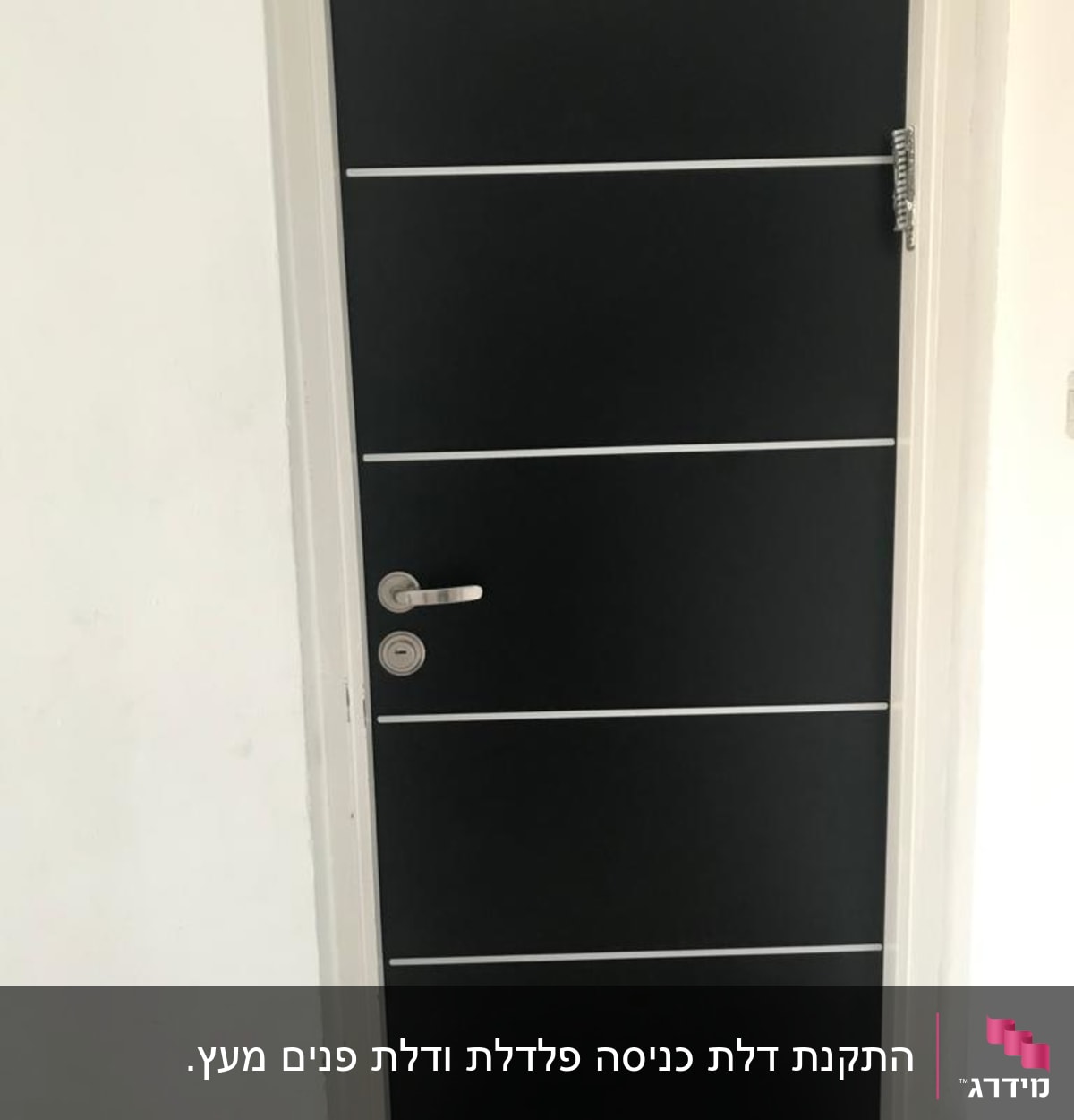 דלת כניסה יפהיפה